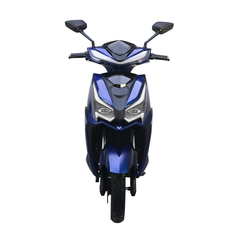 A009 600w/800w Long-range Electric Motorcycle Scooter 55km/h Two-wheeled Vehicle Wholesale