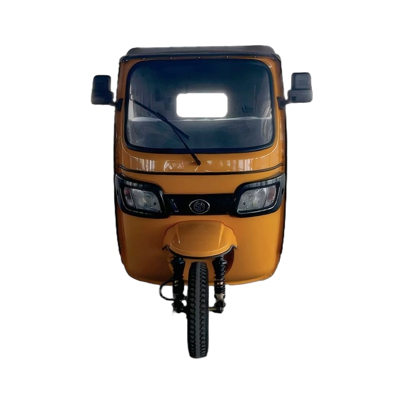 Tr02 Max Ckd 4000w 70km/h Speed  Passenger High Quality 3 Wheel Electric Tricycle Taxi Bike For 7 People