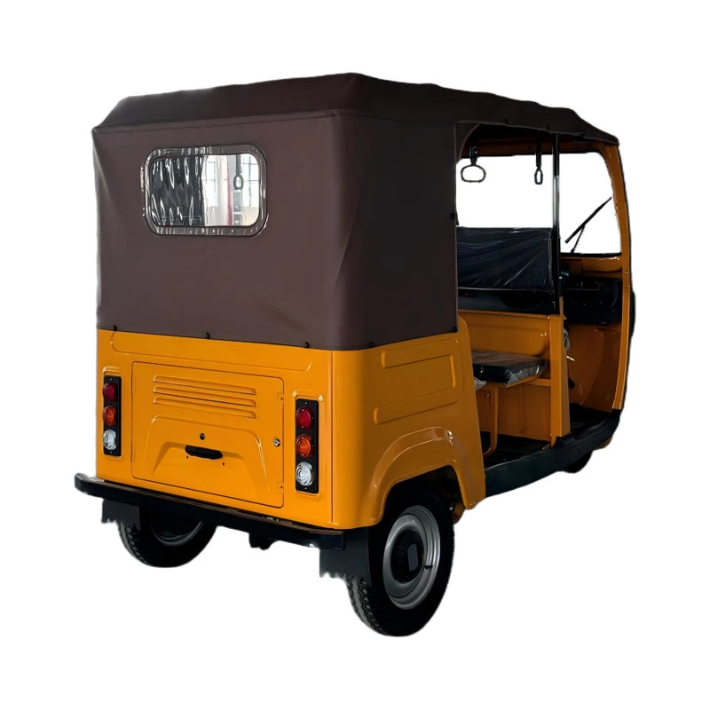 Tr02 Max Ckd 4000w 70km/h Speed  Passenger High Quality 3 Wheel Electric Tricycle Taxi Bike For 7 People