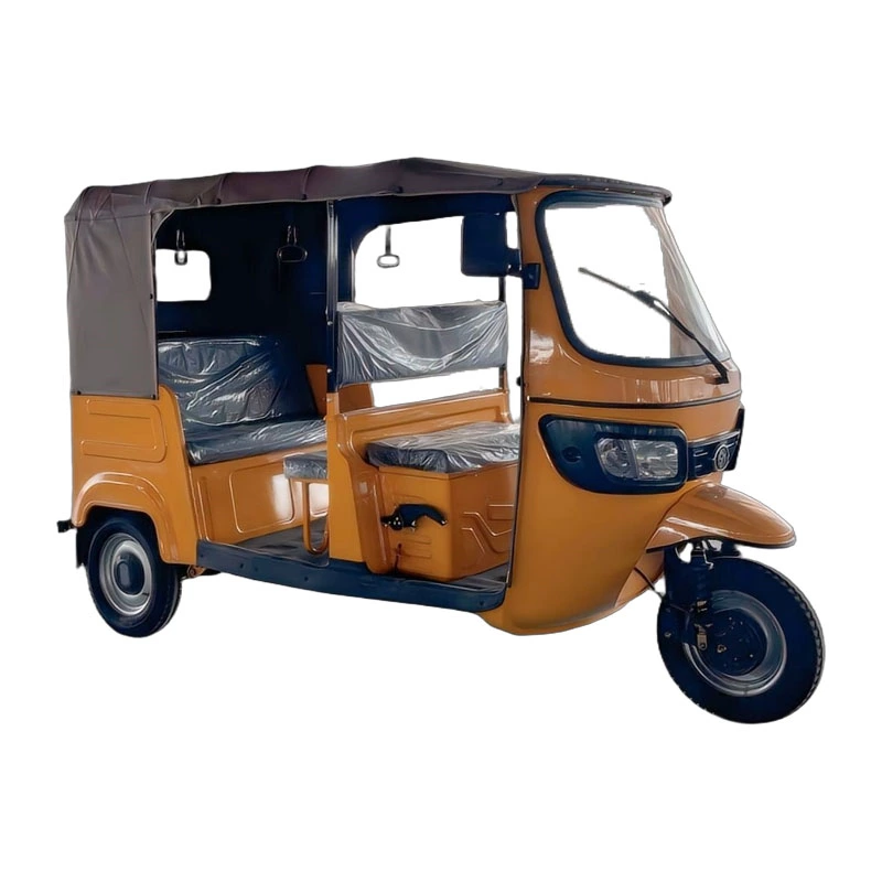 Tr02 Max Ckd 4000w 70km/h Speed  Passenger High Quality 3 Wheel Electric Tricycle Taxi Bike For 7 People