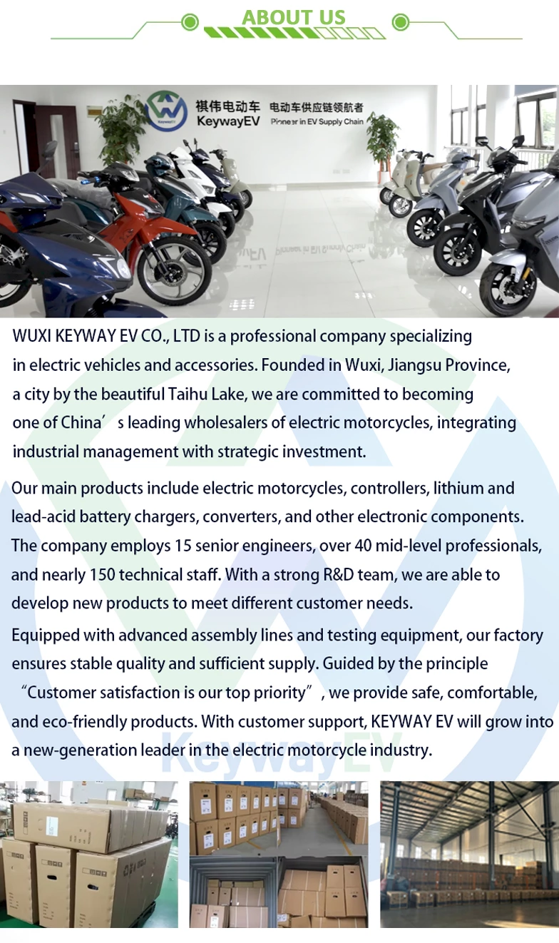 K009 600w/800w motor Long-range Electric Motorcycle Scooter 55km/h speed Two-wheeled Vehicle