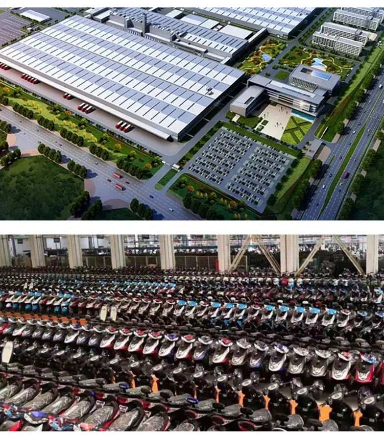 SL 10inch tires 1200W/1500W Motor 50km/H Speed Chinese Electric Moped