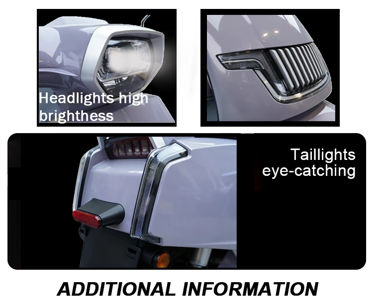 12inch tires 1100/1300W 60km/H Speed  Adult Electric Motorcycle