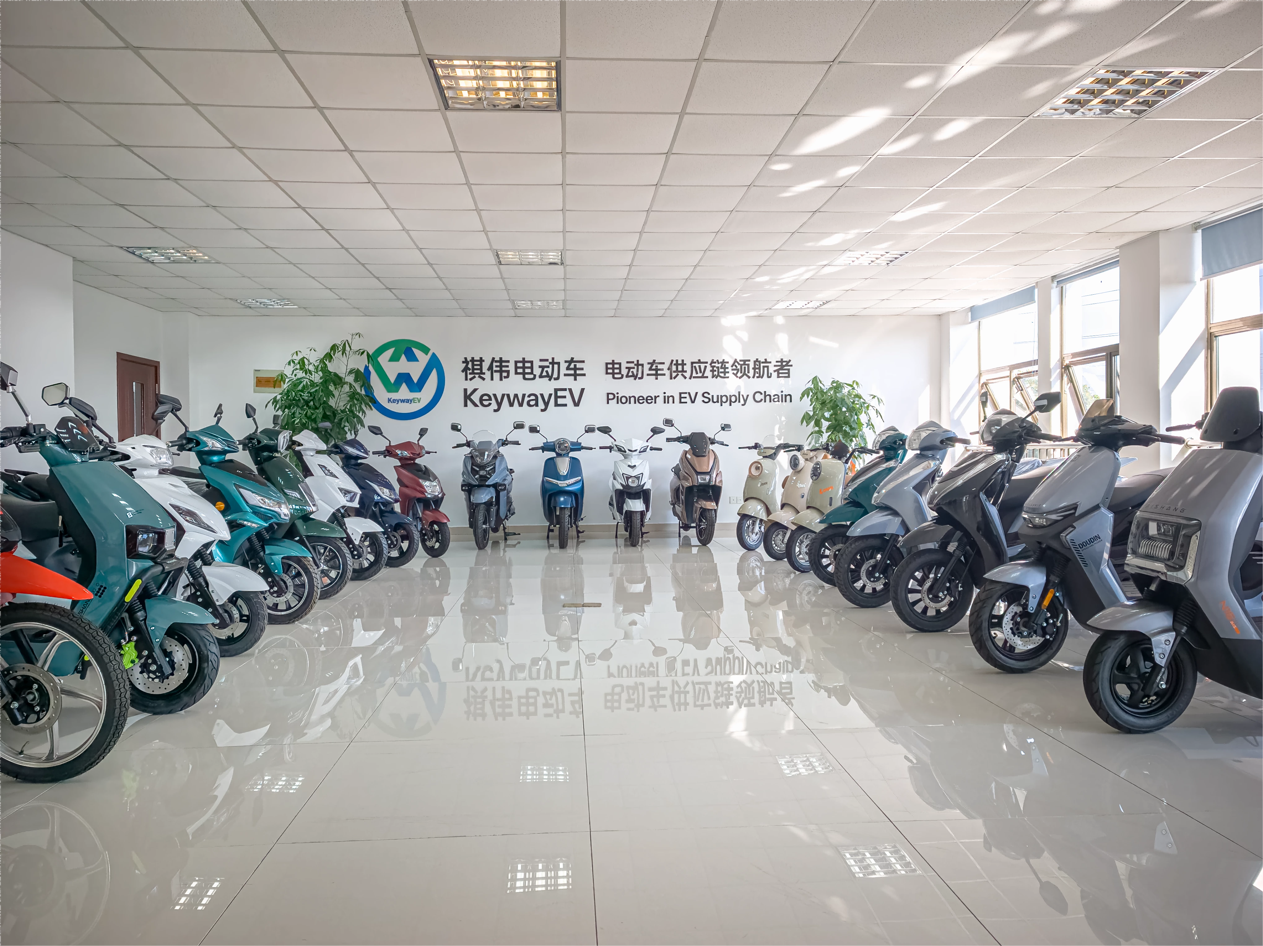 How to Choose the Right Electric Scooter Manufacturer