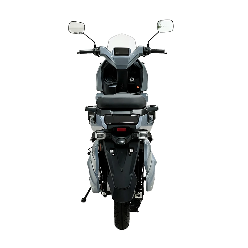 K193 WS2 12inch electric motorcycle for adult