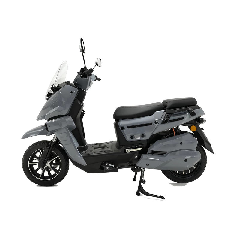 K193 WS2 12inch electric motorcycle for adult