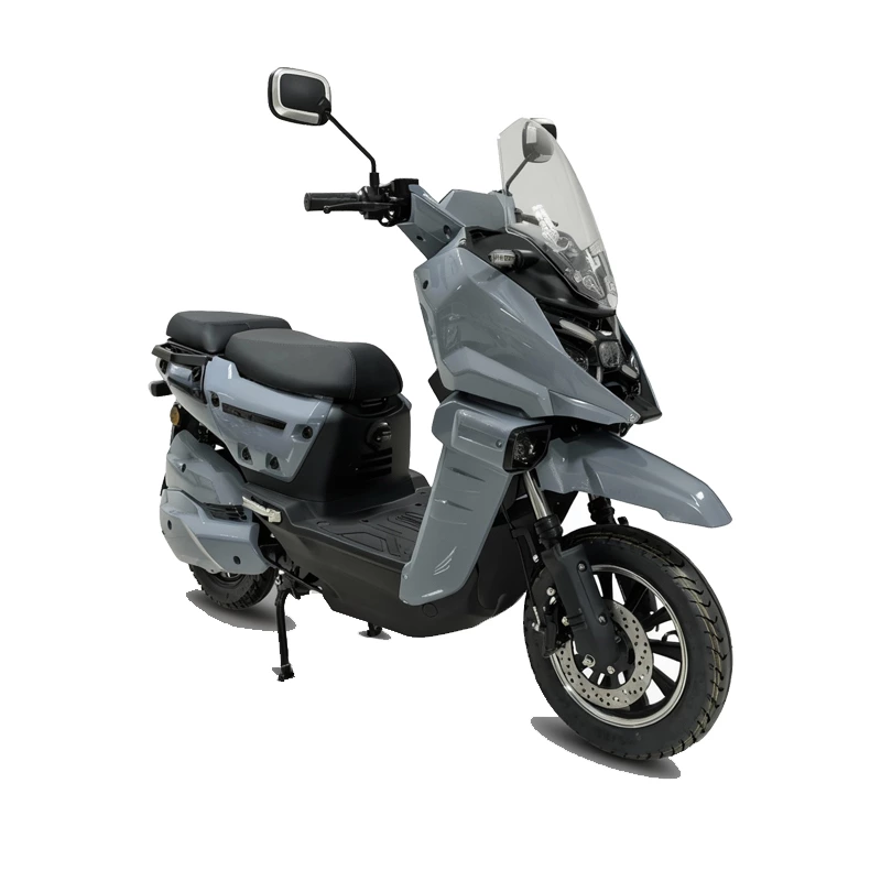 K193 WS2 12inch electric motorcycle for adult