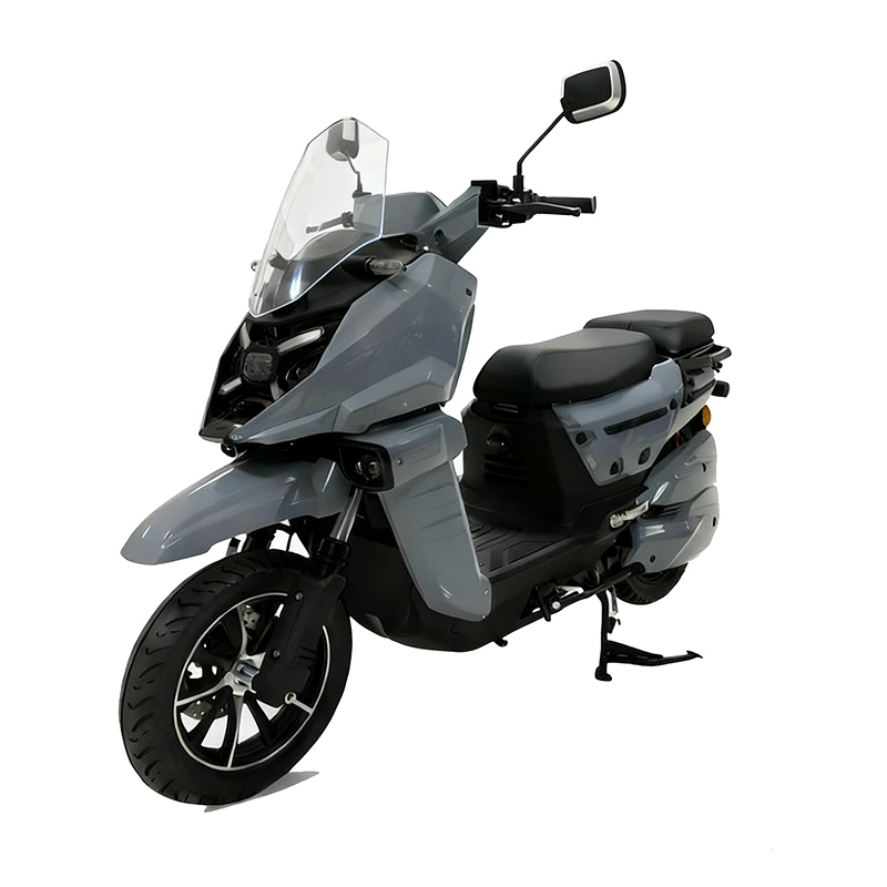 K193 WS2 12inch electric motorcycle for adult