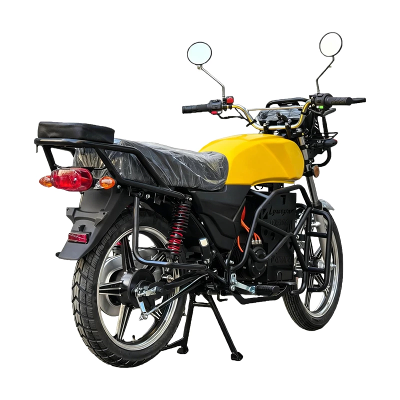 XP 4000W motor electric motorcycle 18-inch off-road electric two-wheeler