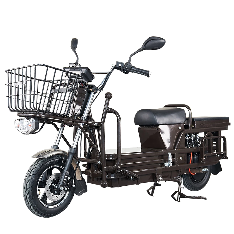 S100 ZZW 900/1000W cargo electric motorcycle
