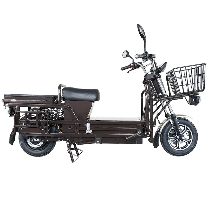 S100 ZZW 900/1000W cargo electric motorcycle