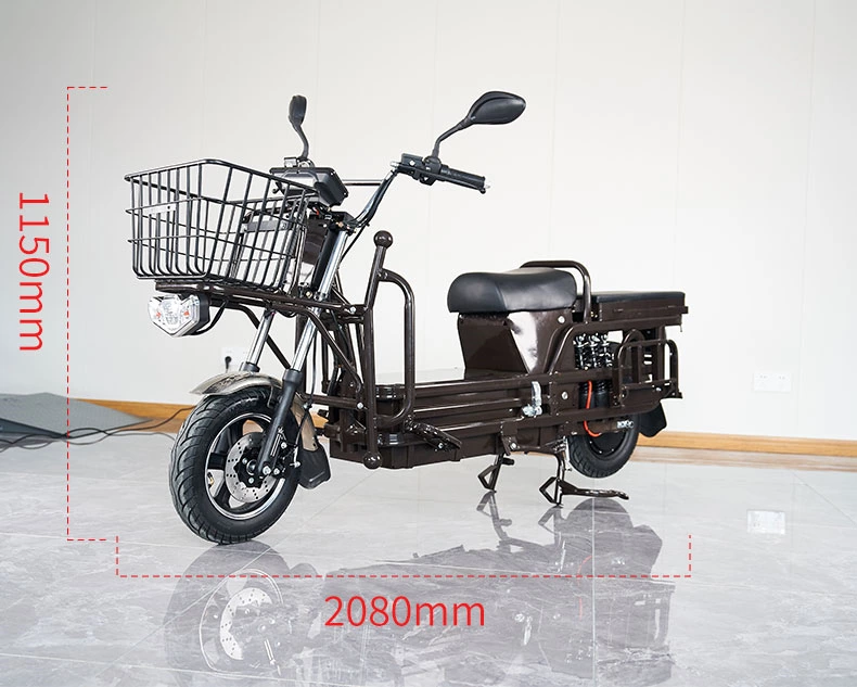 S100 ZZW 900/1000W cargo electric motorcycle