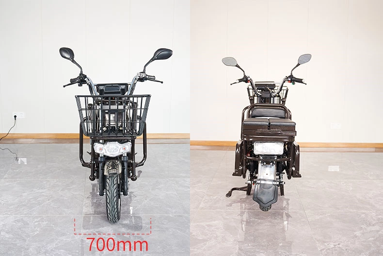 S100 ZZW 900/1000W cargo electric motorcycle