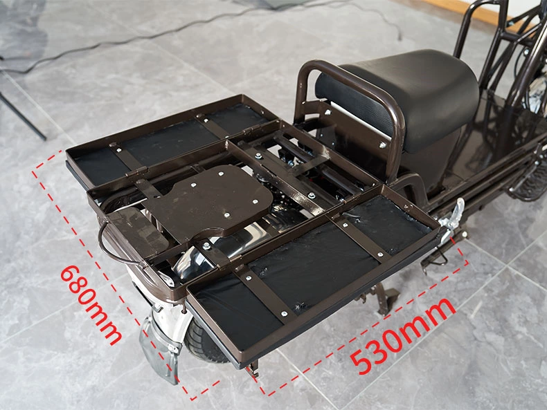 S100 ZZW 900/1000W cargo electric motorcycle