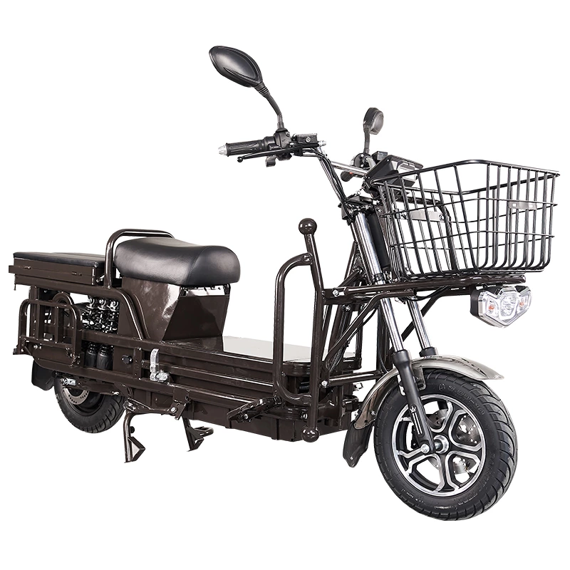 S100 ZZW 900/1000W cargo electric motorcycle
