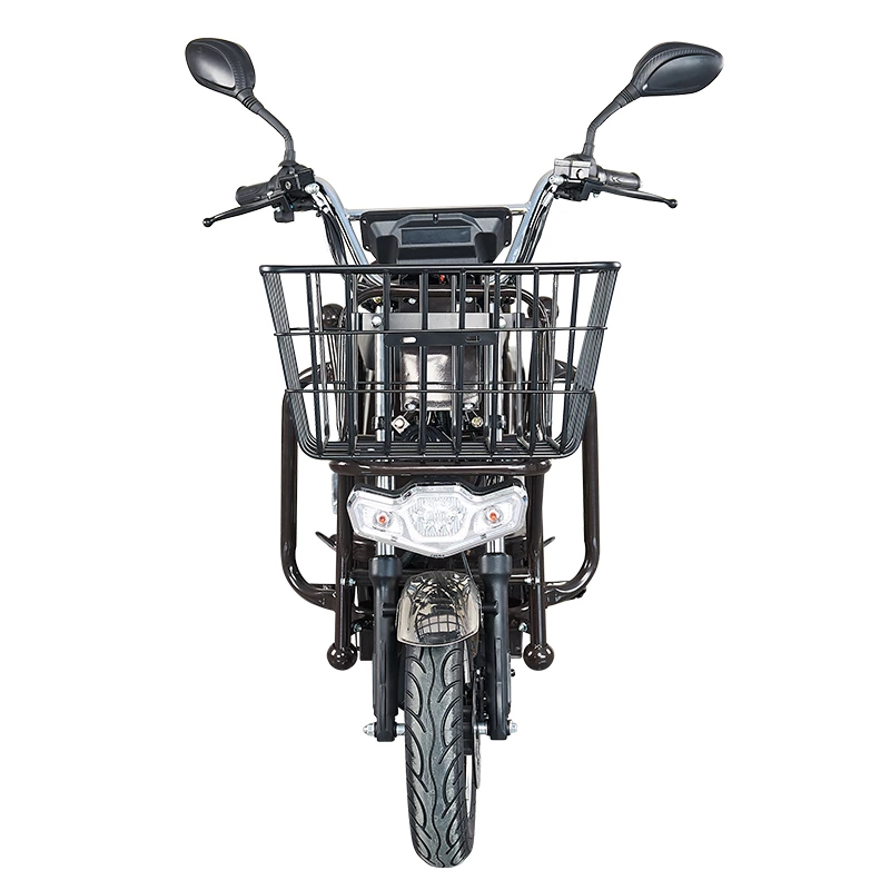S100 ZZW 900/1000W cargo electric motorcycle