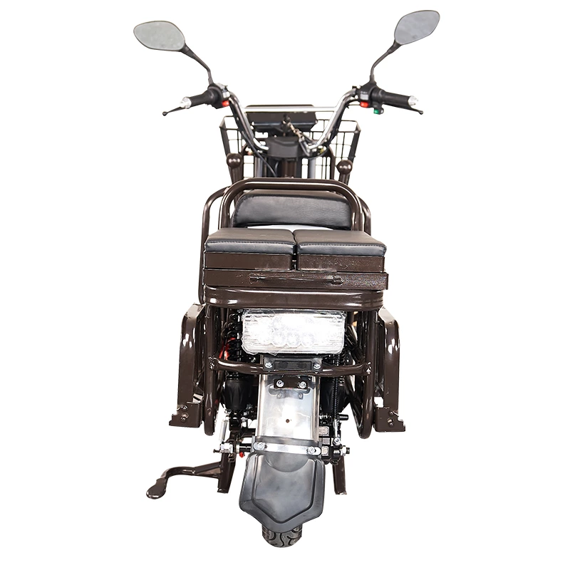 S100 ZZW 900/1000W cargo electric motorcycle