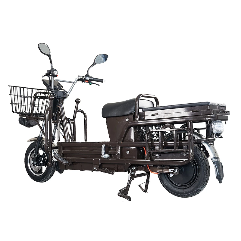 S100 ZZW 900/1000W cargo electric motorcycle